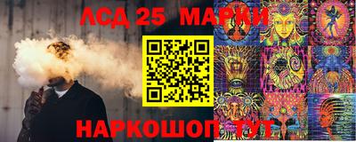 шишки Брянск