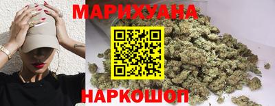 шишки Брянск
