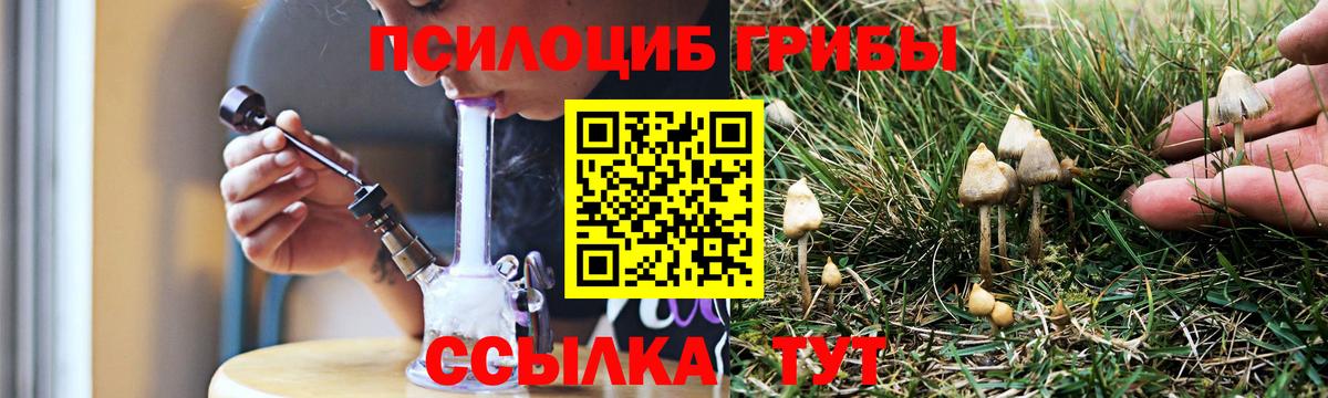 Дивногорск  Псилоцибиновые грибы GOLDEN TEACHER  наркота  Галлюциногенные грибы мухоморы  Вход с VPN 