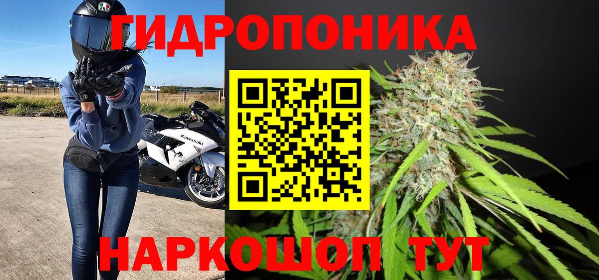 Дивногорск  Каннабис планчик  Вход с VPN  Бошки марихуана семена 